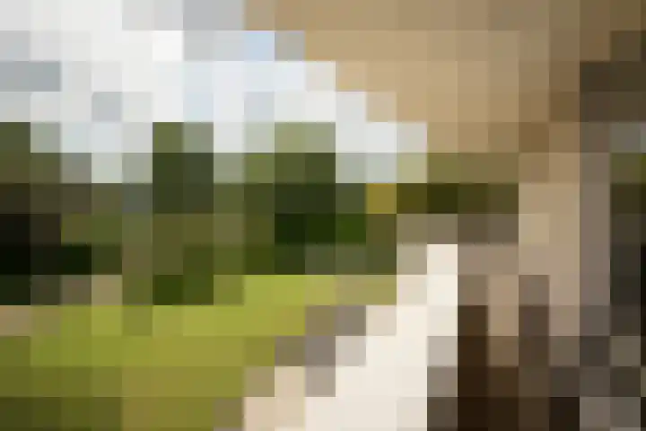 Nijenburg 29 Grootebroek thumbnail 71
