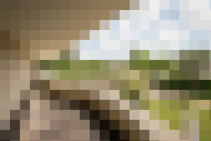 Nijenburg 29 Grootebroek thumbnail 72