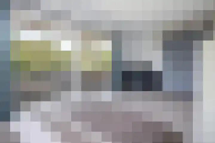 Nijenburg 29 Grootebroek thumbnail 73