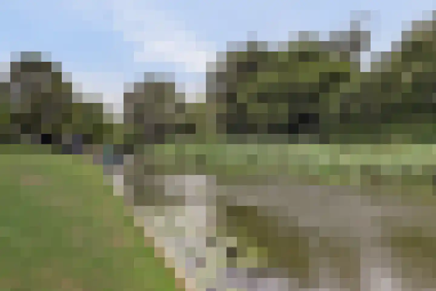 Nijenburg 29 Grootebroek thumbnail 74