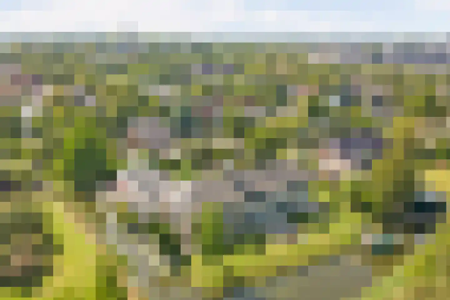 Nijenburg 29 Grootebroek thumbnail 79