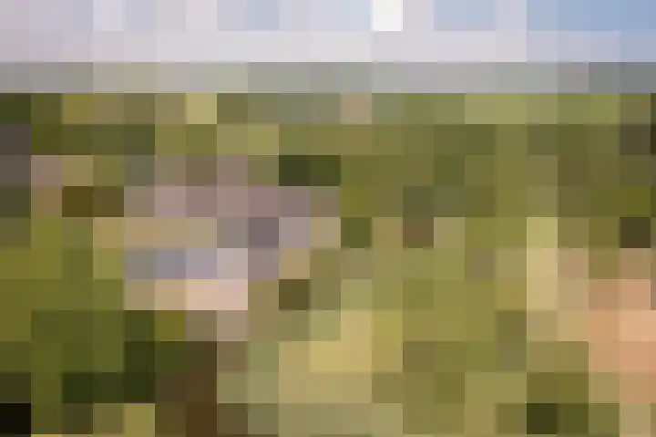 Nijenburg 29 Grootebroek thumbnail 85
