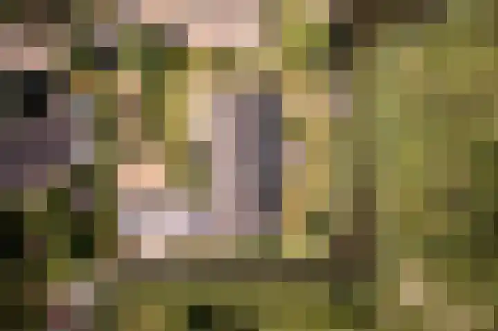 Nijenburg 29 Grootebroek thumbnail 86