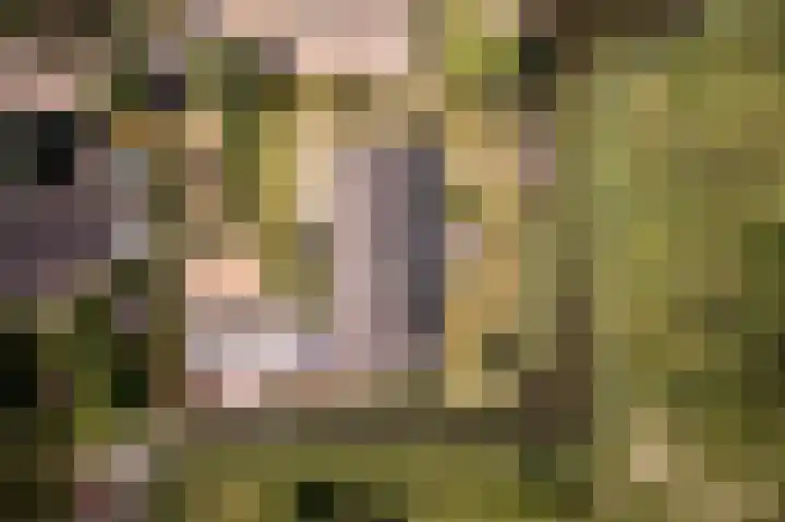 Nijenburg 29 Grootebroek thumbnail 87