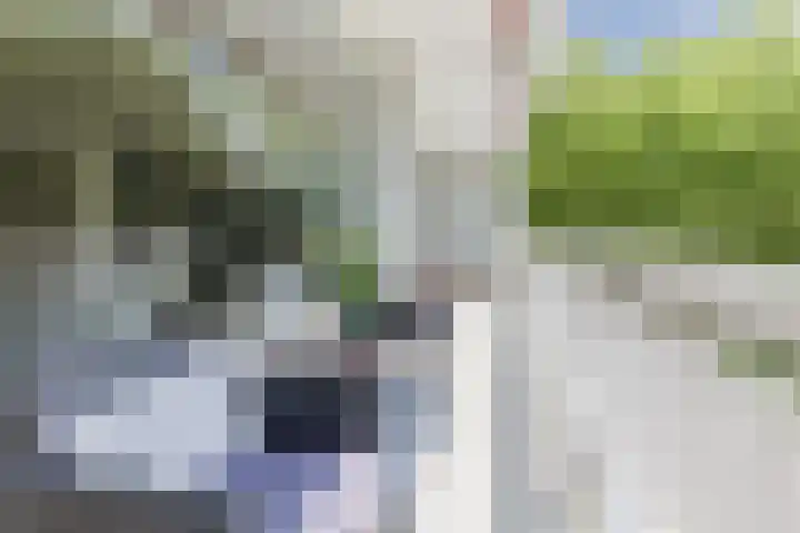 Nijenburg 3 Amsterdam thumbnail 10