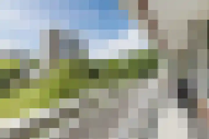 Nijenburg 3 Amsterdam thumbnail 11