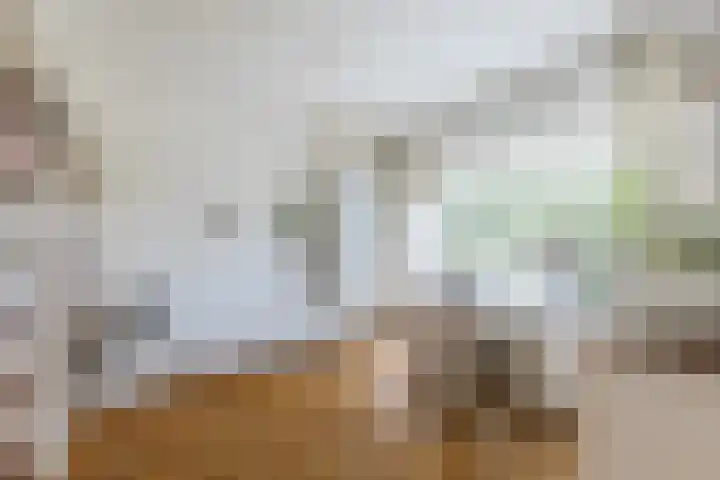 Nijenburg 3 Amsterdam thumbnail 12