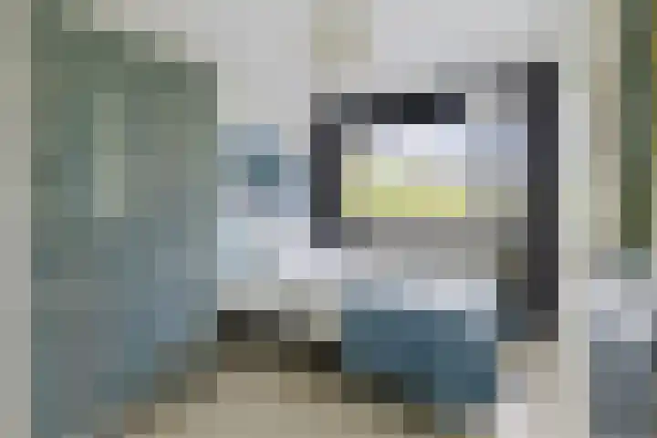 Nijenburg 3 Amsterdam thumbnail 15
