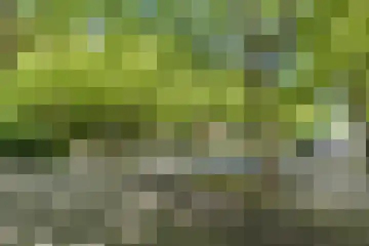 Nijenburg 3 Amsterdam thumbnail 19