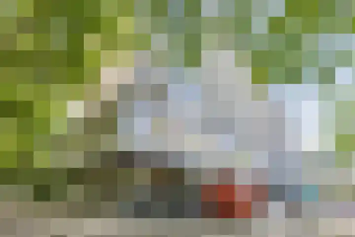 Nijenburg 3 Amsterdam thumbnail 25