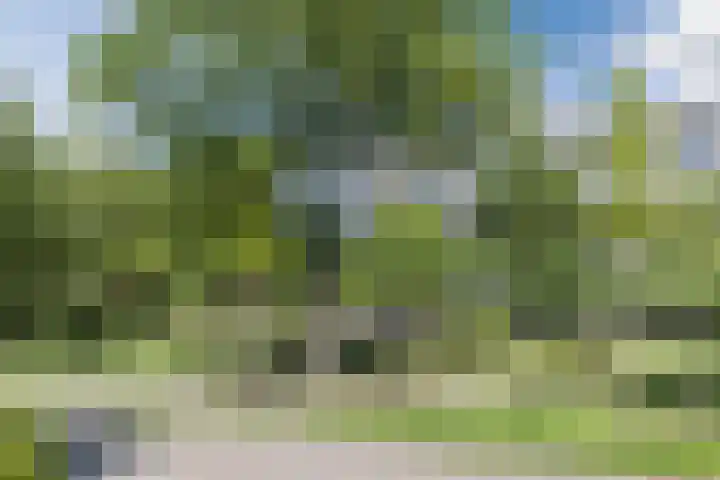 Nijenburg 3 Amsterdam thumbnail 6