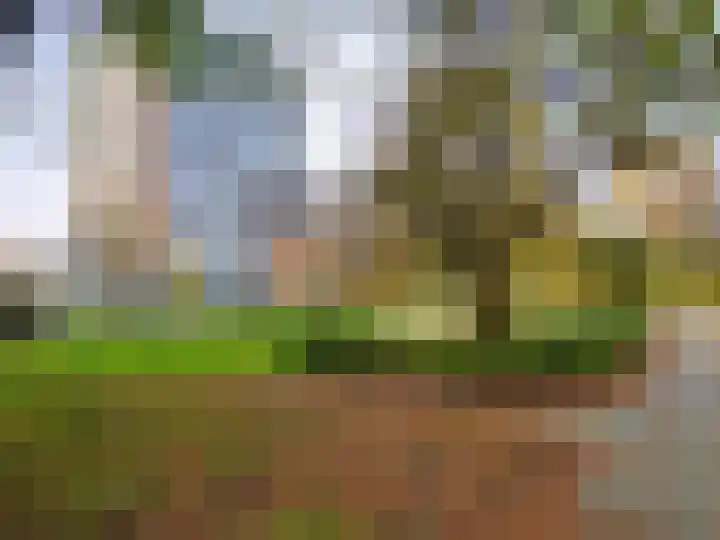 Nijenburg 32 Amsterdam thumbnail 15