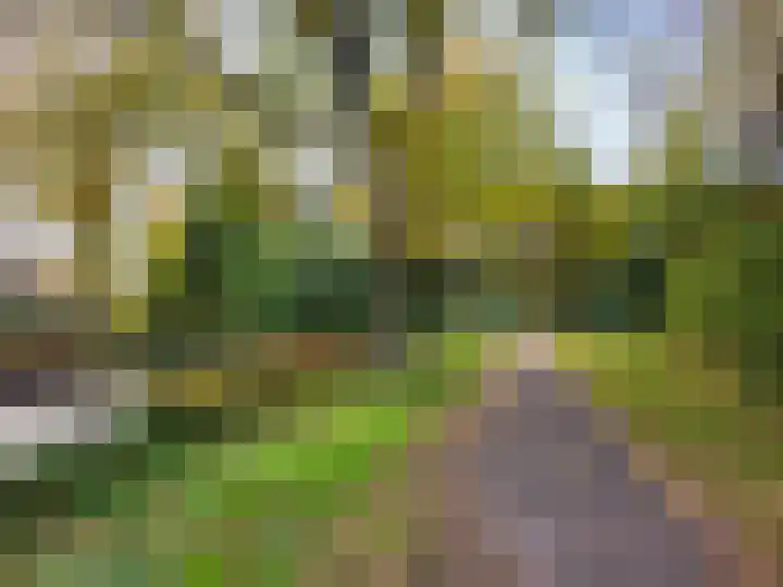 Nijenburg 32 Amsterdam thumbnail 16