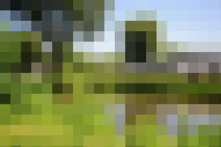 Nijenburg 32 Amsterdam thumbnail 22