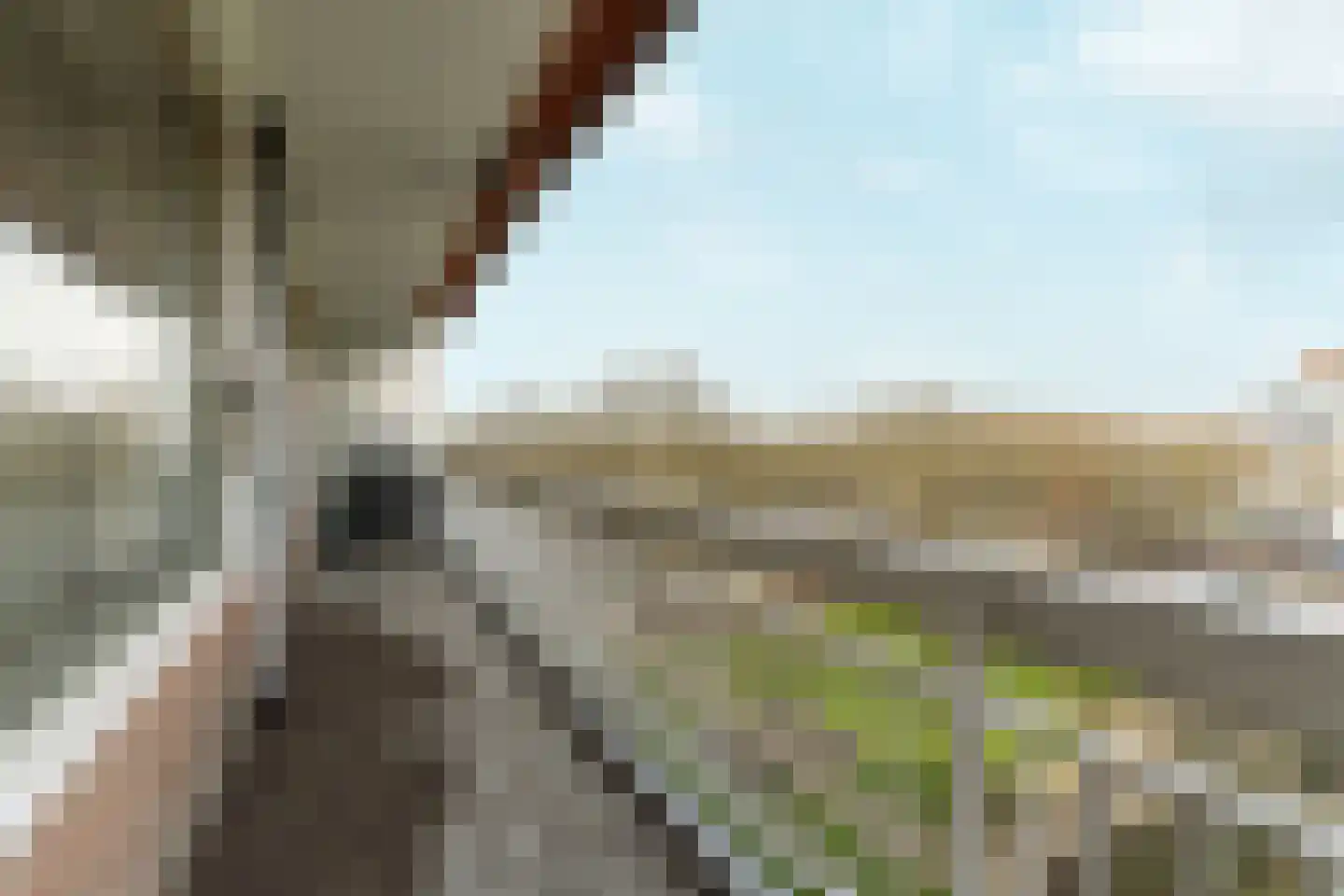 Nijenburg 35 Amsterdam thumbnail 8
