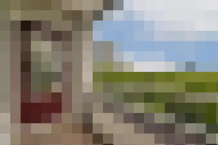 Nijenburg 42 Amsterdam thumbnail 13
