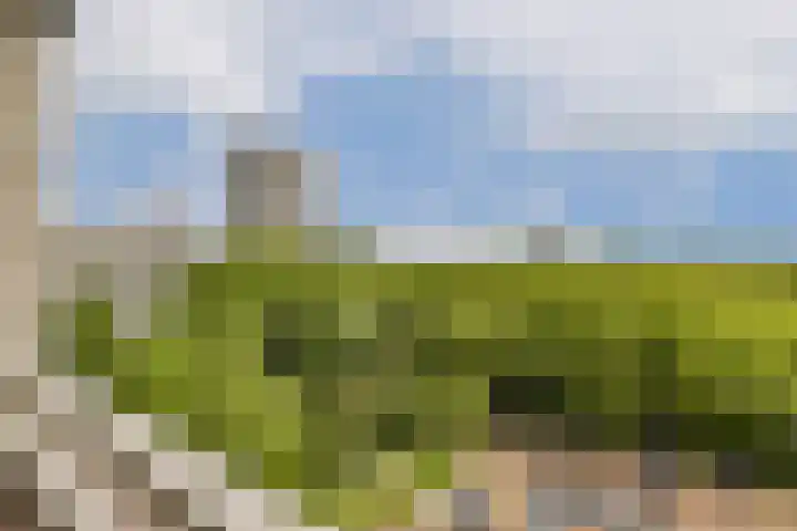 Nijenburg 42 Amsterdam thumbnail 14