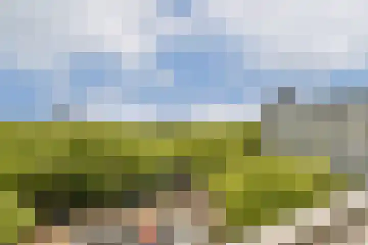Nijenburg 42 Amsterdam thumbnail 15
