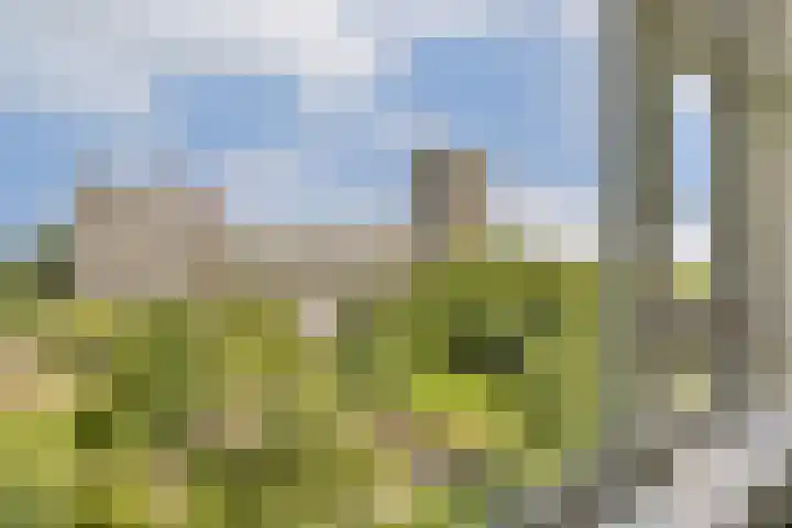 Nijenburg 42 Amsterdam thumbnail 21