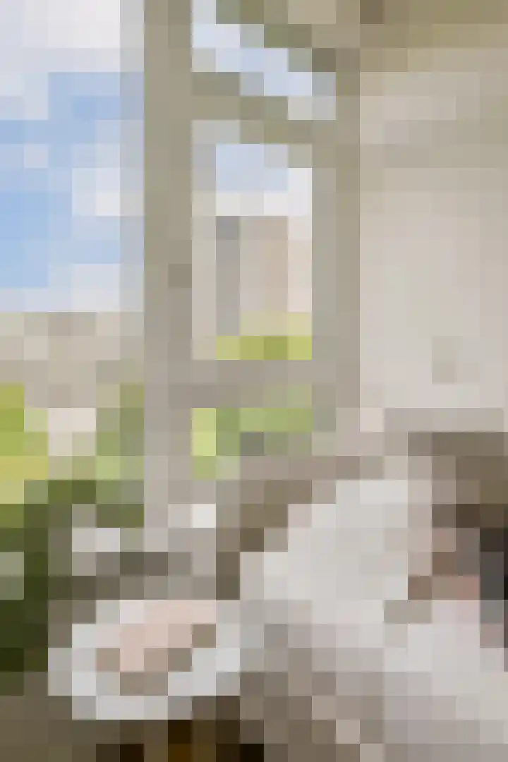 Nijenburg 42 Amsterdam thumbnail 30