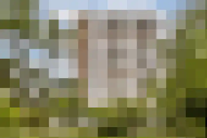 Nijenburg 42 Amsterdam thumbnail 34