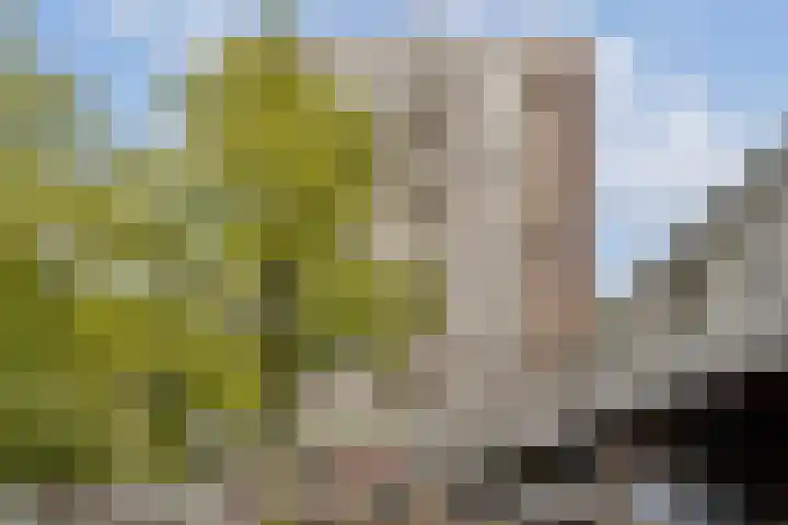 Nijenburg 42 Amsterdam thumbnail 35