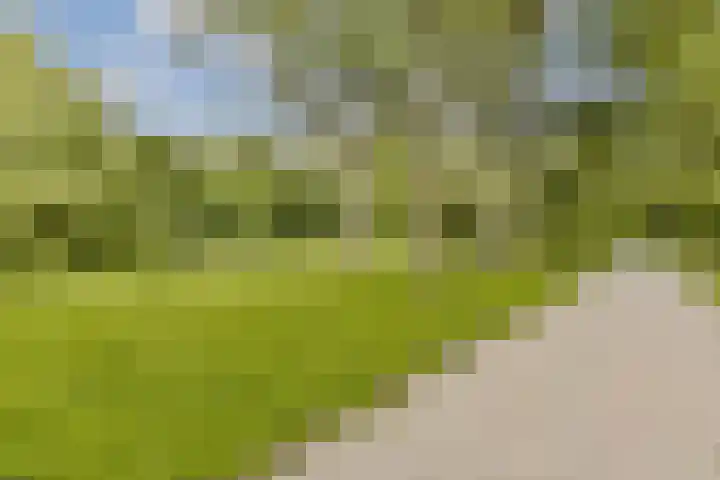 Nijenburg 42 Amsterdam thumbnail 36