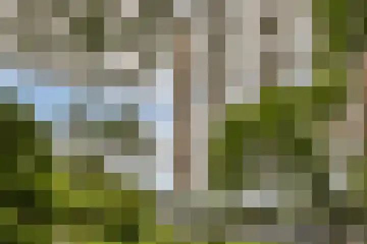 Nijenburg 42 Amsterdam thumbnail 37