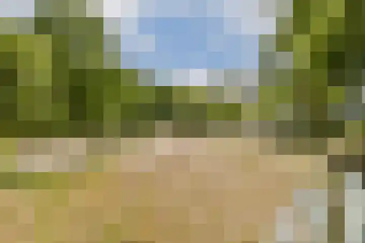 Nijenburg 42 Amsterdam thumbnail 38