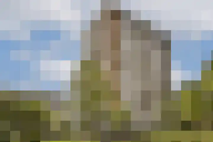 Nijenburg 42 Amsterdam thumbnail 39