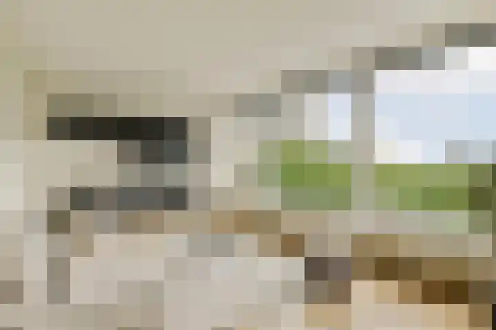 Nijenburg 42 Amsterdam thumbnail 7
