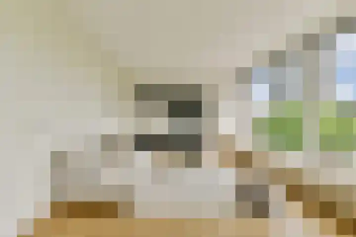 Nijenburg 42 Amsterdam thumbnail 8