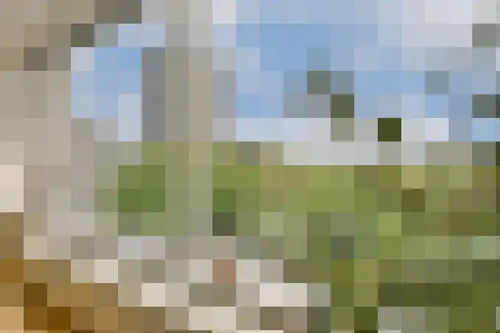 Nijenburg 42 Amsterdam thumbnail 9