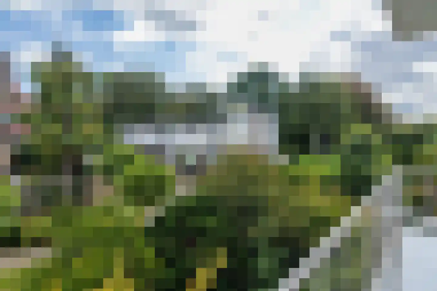 Nijenburg 5 Sassenheim thumbnail 20