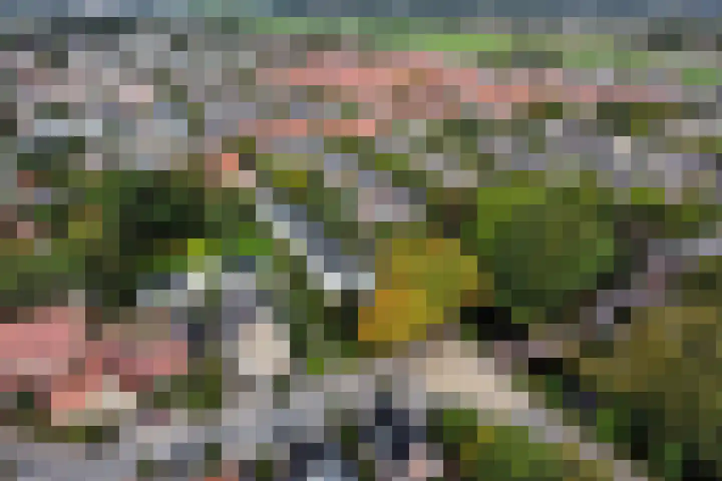 Nijenburg 5 Sassenheim thumbnail 46