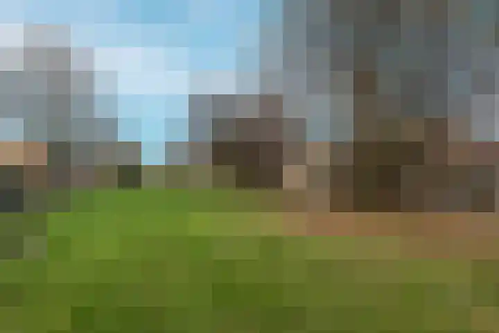 Nijenburg 79 Hoofddorp thumbnail 49