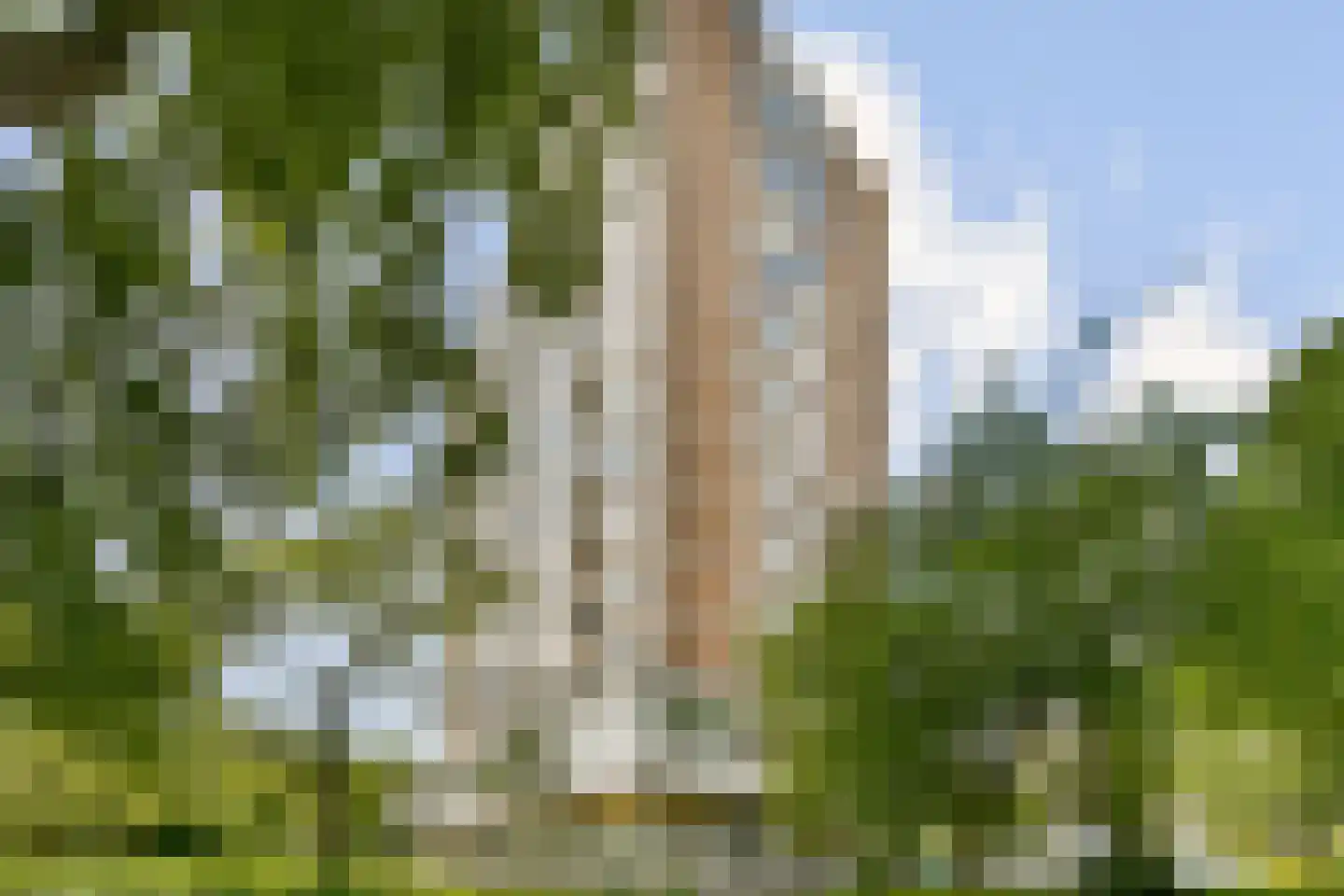 Nijenburg 8 Amsterdam thumbnail 12