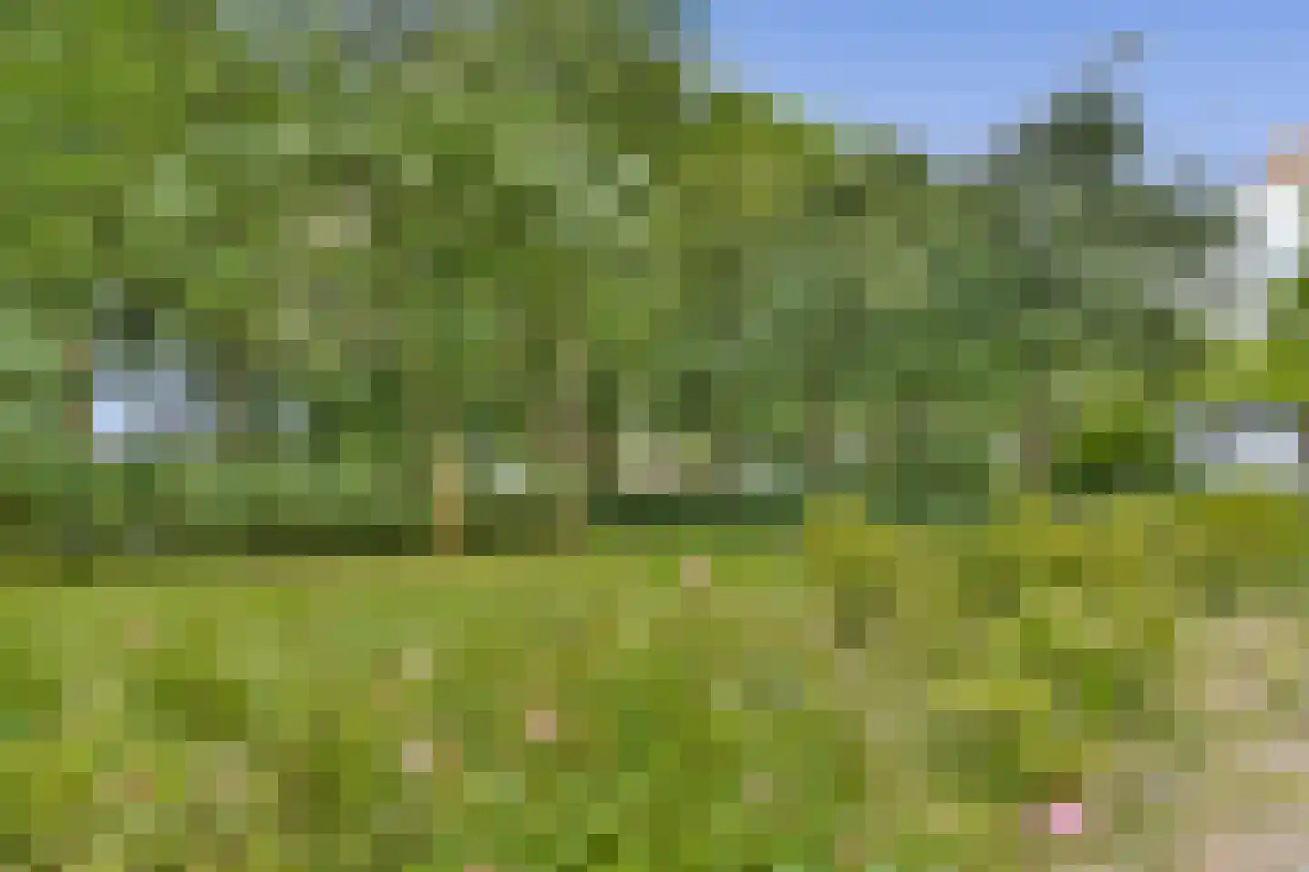 Nijenburg 8 Amsterdam thumbnail 20