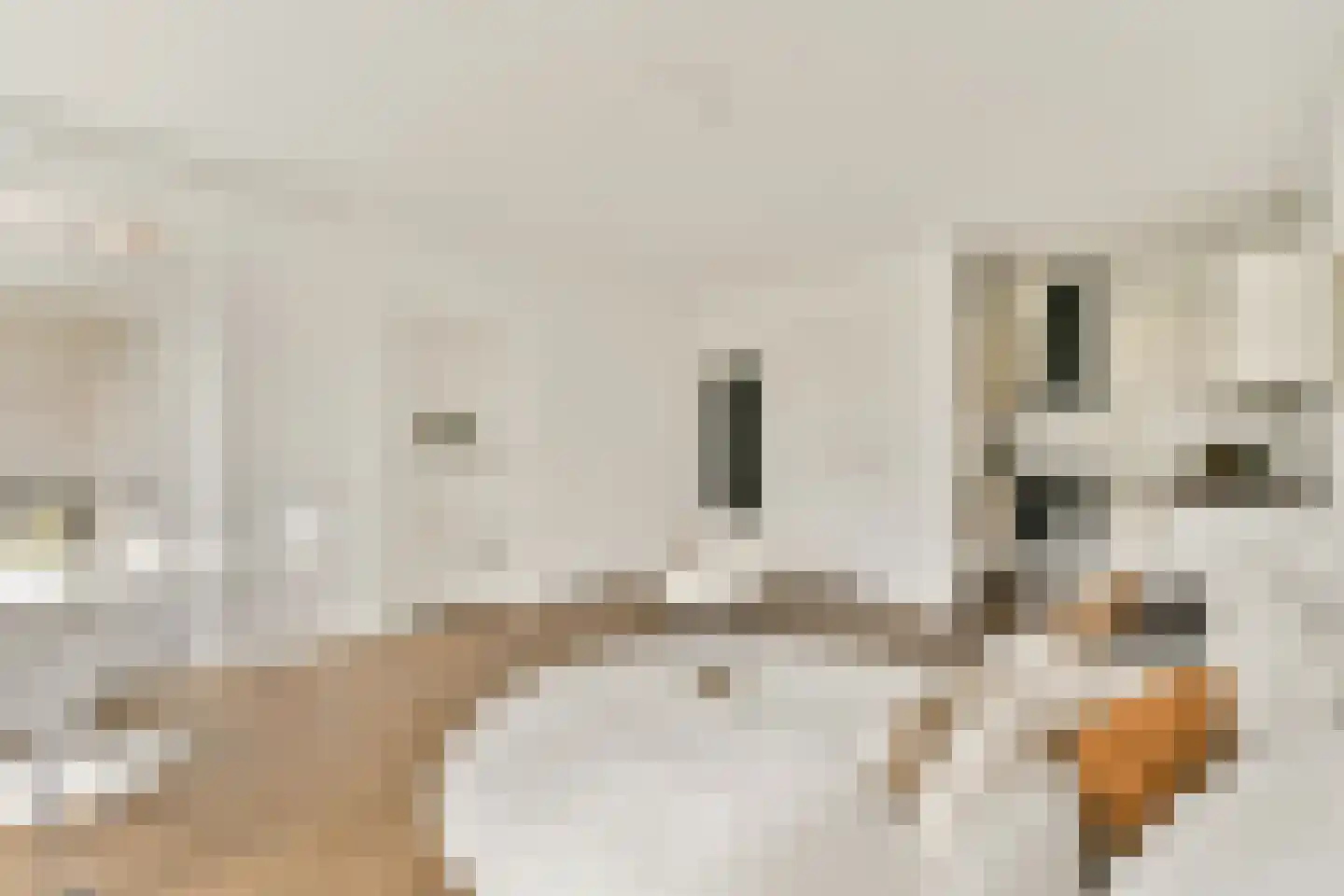 Nijenburg 8 Amsterdam thumbnail 5