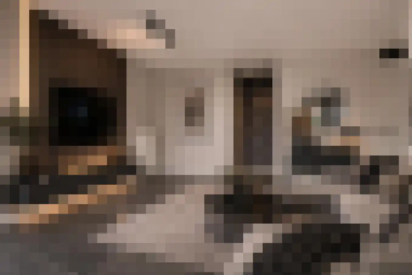 Nijenburglaan 3 Obdam thumbnail 10