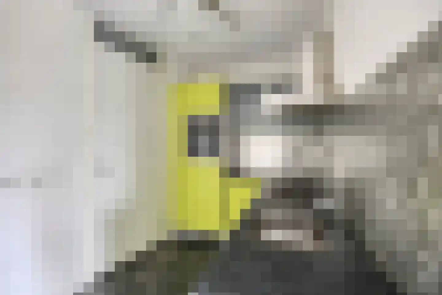 Nijenburglaan 3 Obdam thumbnail 13