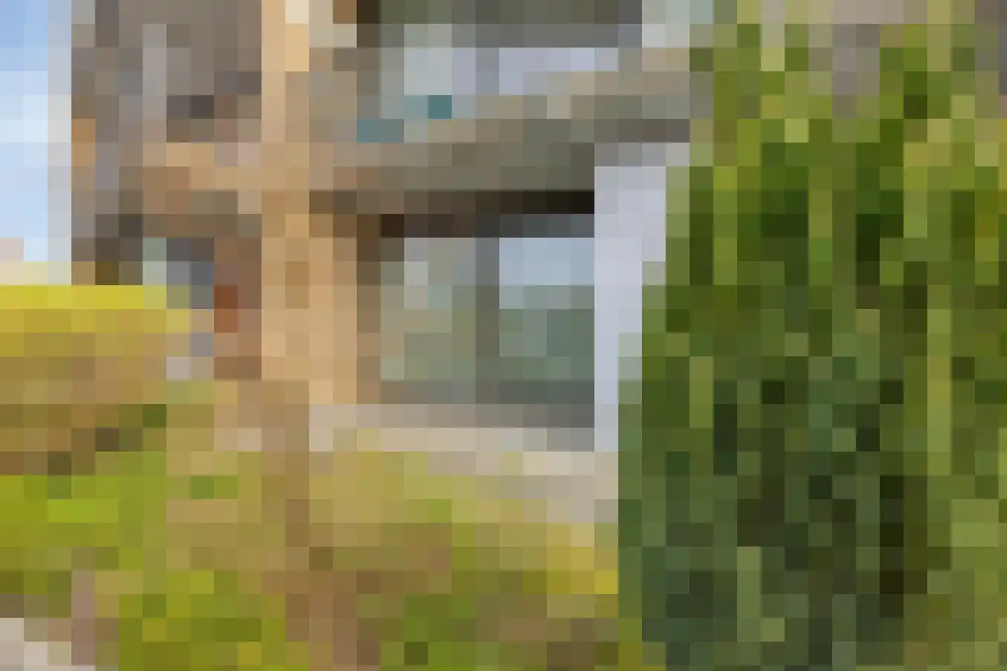 Nijenburglaan 3 Obdam thumbnail 17