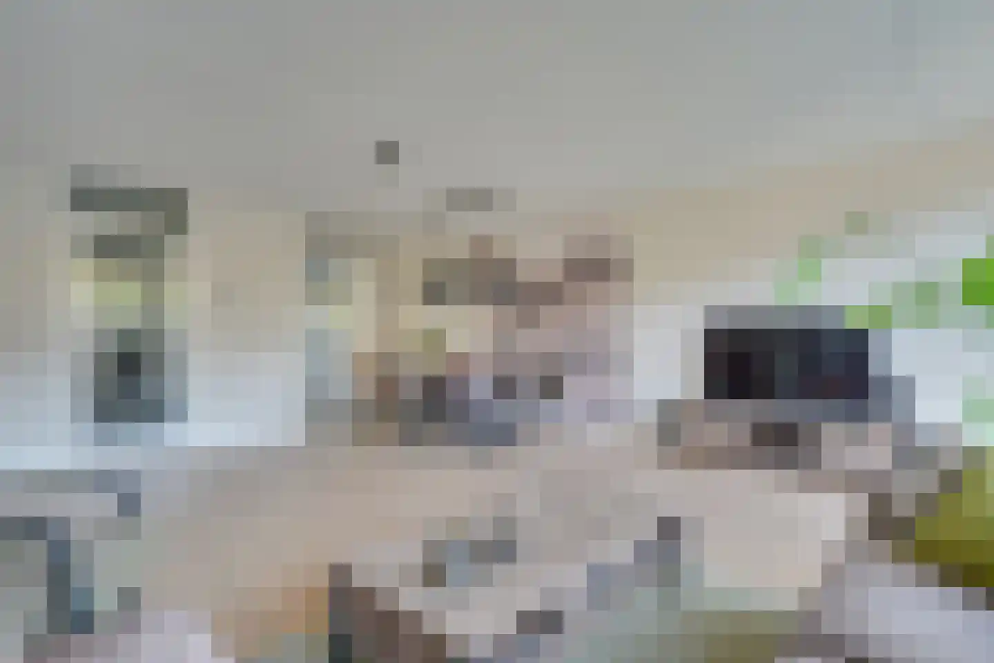 Nijenburglaan 32 Obdam thumbnail 14