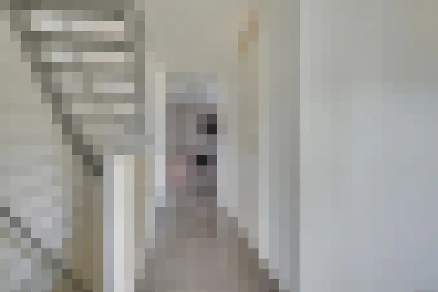 Nijenburglaan 32 Obdam thumbnail 23
