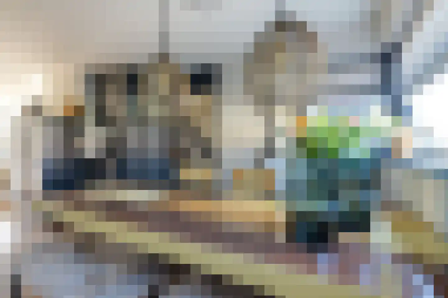 Nijenburglaan 36 Obdam thumbnail 10