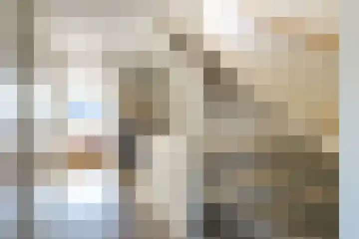 Nijenburglaan 36 Obdam thumbnail 53