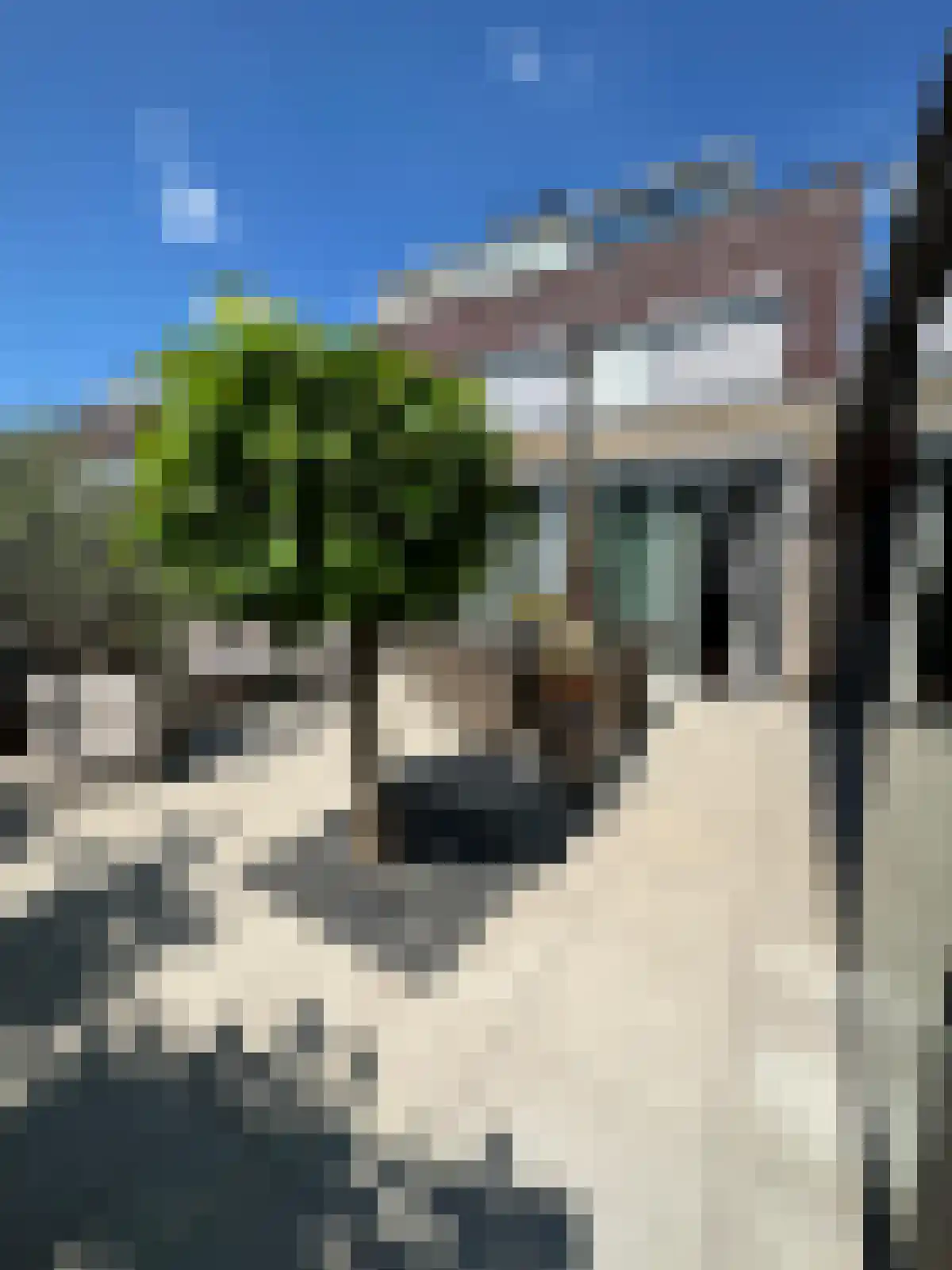Nijenburglaan 36 Obdam thumbnail 58