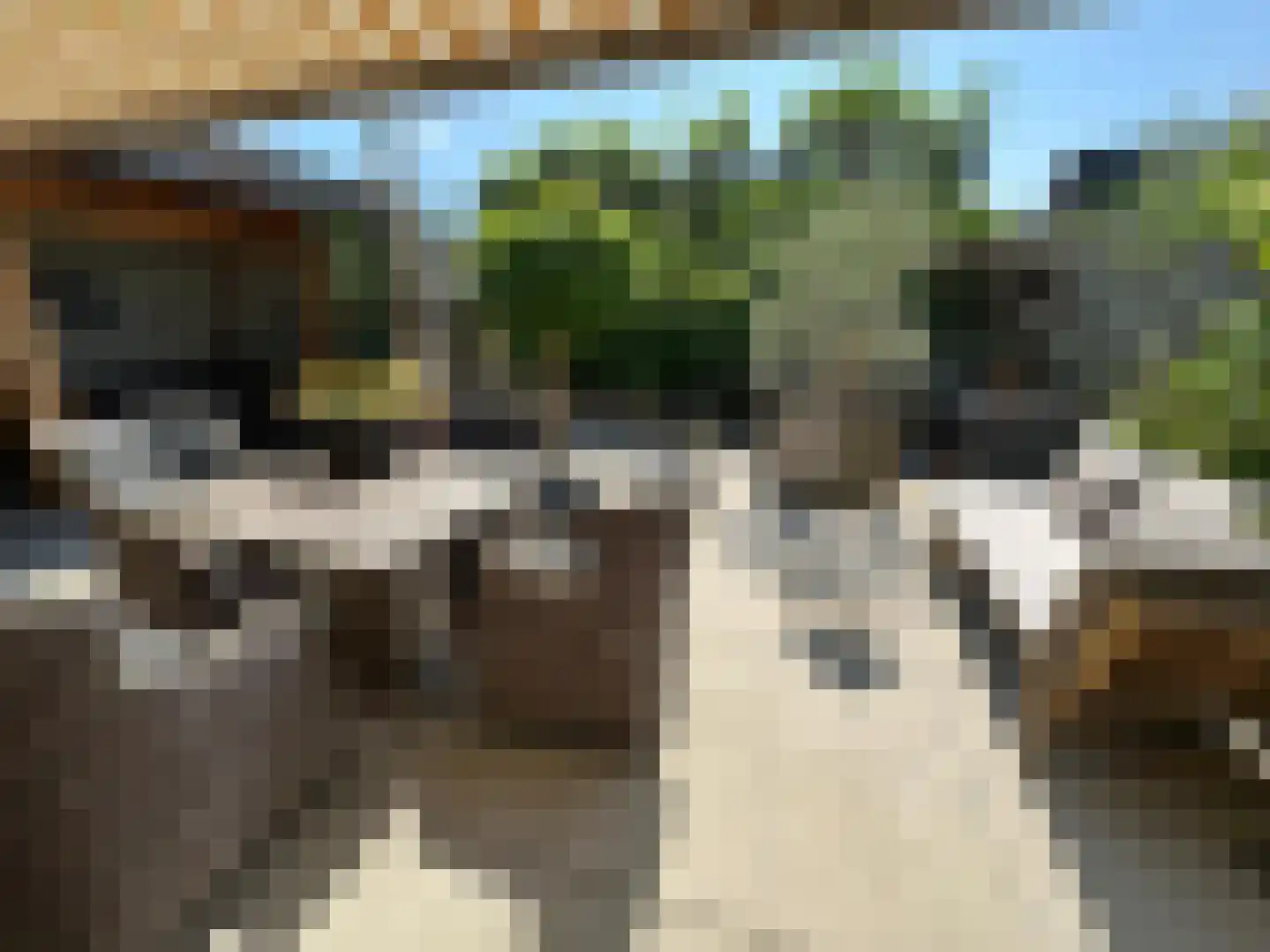 Nijenburglaan 36 Obdam thumbnail 62