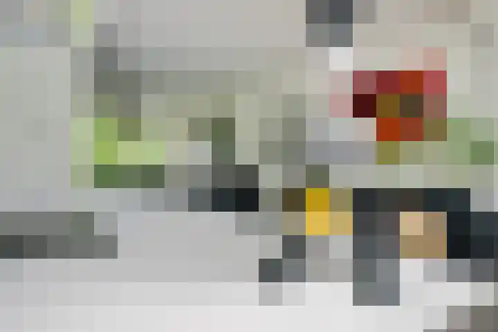 Nijenheim 1016 Zeist thumbnail 12