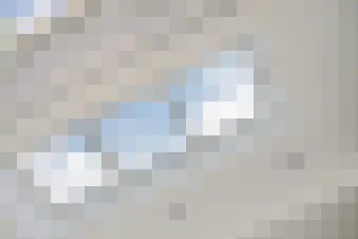 Nijenheim 1016 Zeist thumbnail 14